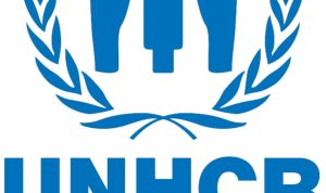 Pengungsian Tahun 2022 Memecahkan Rekor Baru, Ini Desakan UNHCR