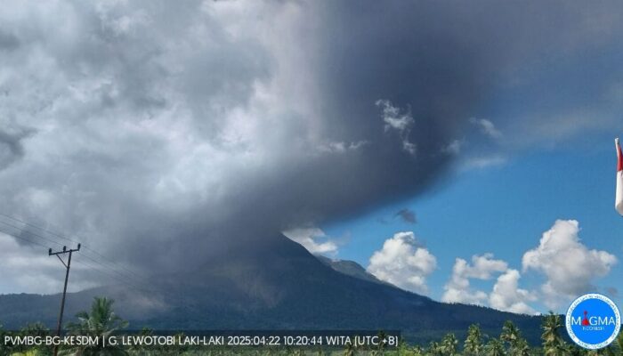 Lewotobi Laki-Laki Erupsi 6 menit, Warga dihimbau Kenakan Masker
