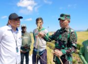 Petani Nunkurus Panen Raya Padi, Danrem 161 Wirasakti Pastikan Harga Gabah Sesuai