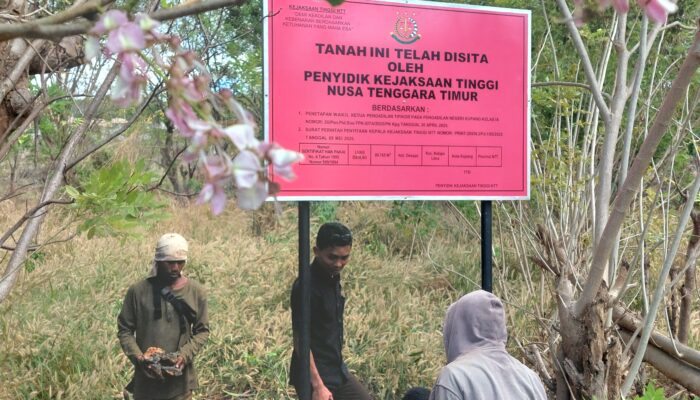 Sejarah Jual Beli Lahan 9,7 Hektar yang Disita Penyidik Pidana Khusus Kejati NTT