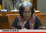 Miris, Komisi Perlindungan Anak Indonesia Sebut NTT Daerah Darurat Perlindungan Anak Nasional