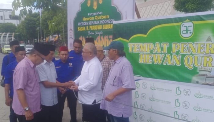 Febry Tetelepta Serahkan Dua Ekor Sapi Kurban untuk Masjid di Maluku