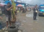 Tak Kunjung Diperbaiki, Supir Angkot Tanam Pisang dan Singkong di Jalan Rusak