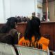Peran Fani Hingga Dijerat 3 Dakwaan dalam Kasus Terdakwa Fajar, Mantan Kapolres Ngada