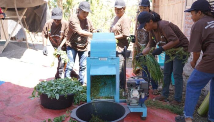 Dorong Ketahanan Pangan, Pertamina Edukasi Petani Maumere Buat Kompos Organik Berkelanjutan