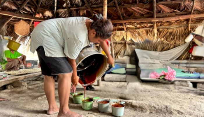 Dari Sopi ke Gula Lempeng, Manisnya Perubahan Hidup Mama Maria, Warga Desa Benu