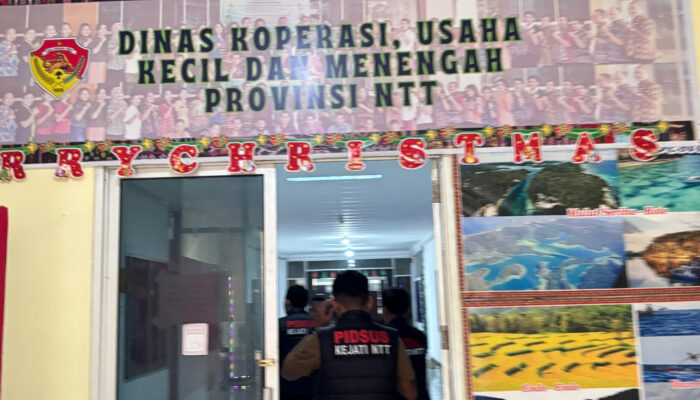 Sabtu Apes, Kantor Dinas Koperasi NTT Digeledah Pidsus Kejati NTT, Aroma Korupsi  RPH Sumlili Terendus