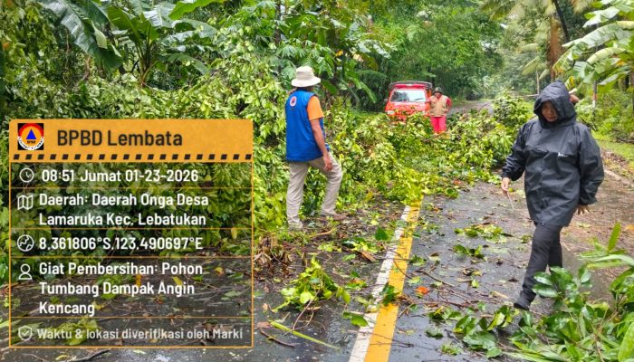 Hadapi Ancaman Bencana Hydrometeorologi, BPBD Lembata Kebagian Anggaran Rp 35 Juta Untuk Tahun 2026