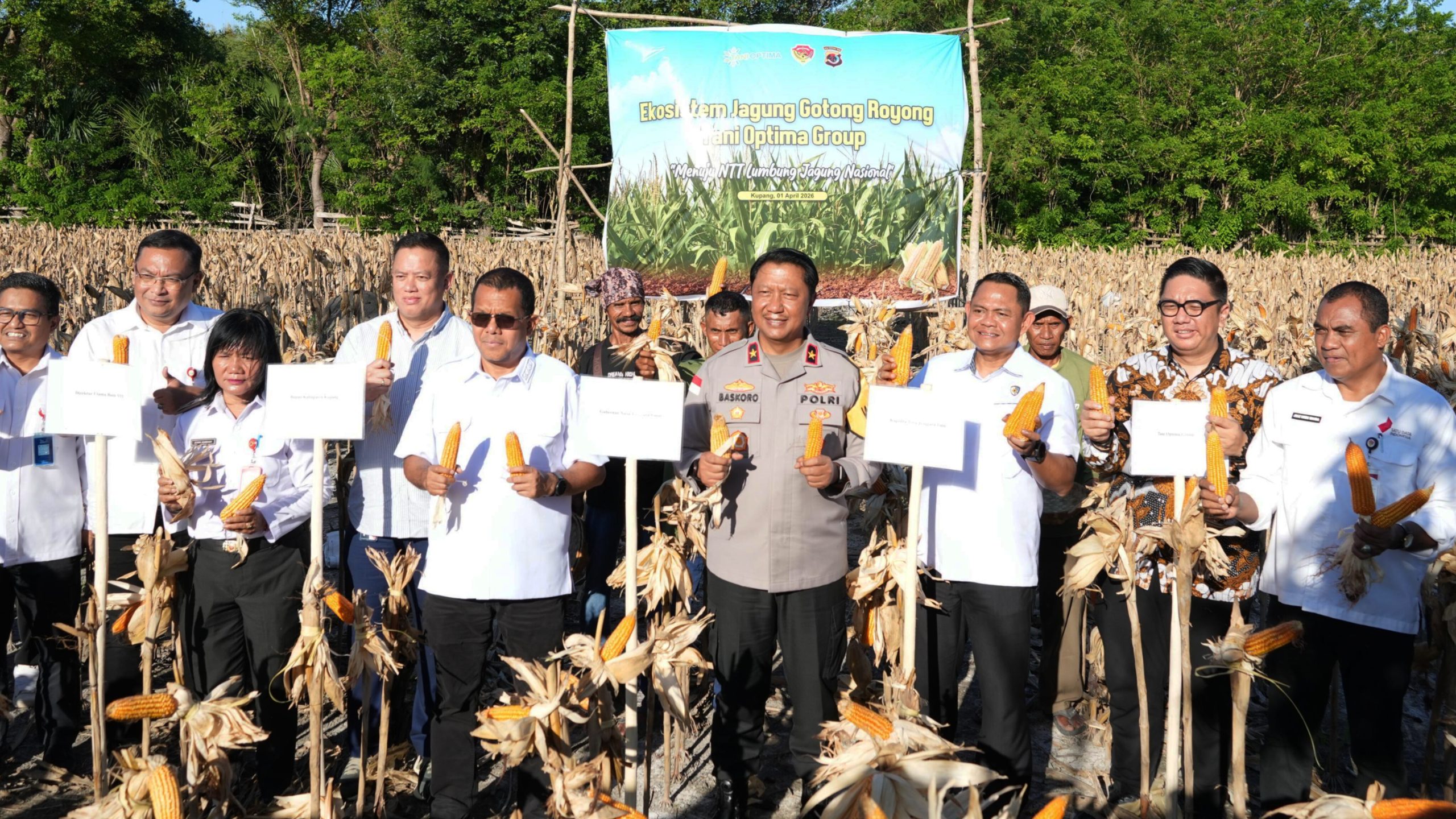 Optimalkan Lahan Kering 3,5 Juta Ha, NTT Menuju Lumbung Jagung Nasional