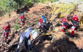 Cegah Erosi di Areal Tower SUTT, PLN Tanam Rumput Vetiver