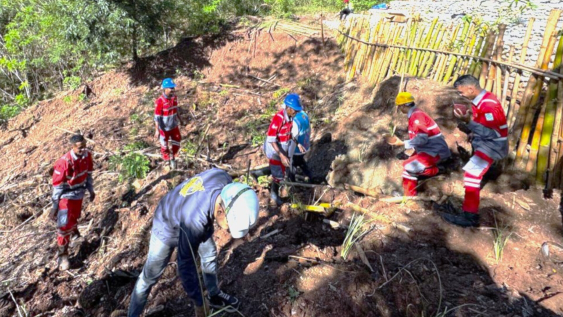 Cegah Erosi di Areal Tower SUTT, PLN Tanam Rumput Vetiver