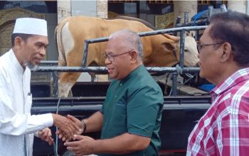 Febry Calvin Tetelepta kembali Salurkan Hewan Qurban di Ambon.